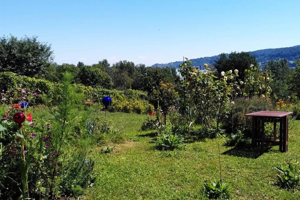 Seenah - Ihre Wohnung Am Bodensee / Untersee Gaienhofen  Εξωτερικό φωτογραφία