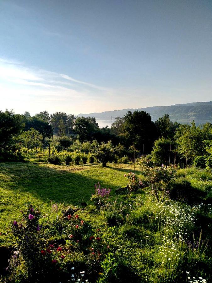 Seenah - Ihre Wohnung Am Bodensee / Untersee Gaienhofen  Εξωτερικό φωτογραφία